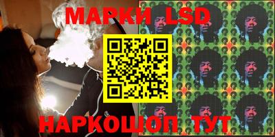 индика Ирбит