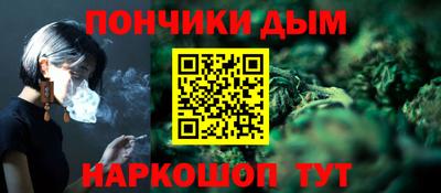 индика Ирбит