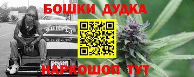 индика Ирбит