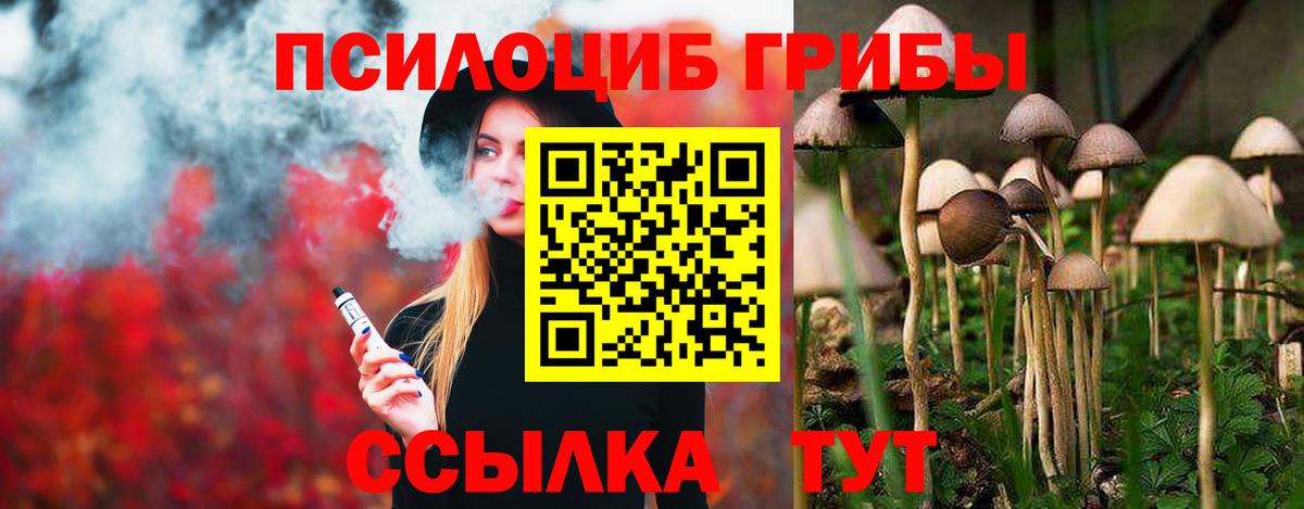 Псилоцибиновые грибы Psilocybine cubensis  Вход с VPN  Кыштым 